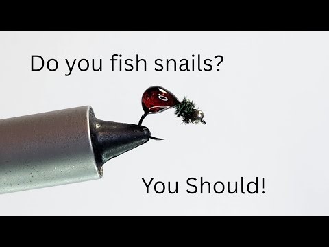 You need a snail pattern in your fly box - tying the Hot Snail