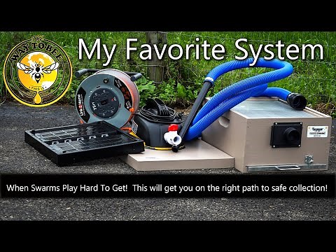 Colorado Bee Vac Complete Review, Swarm Captures and Installs, things to consider. Swarm Vacuum.