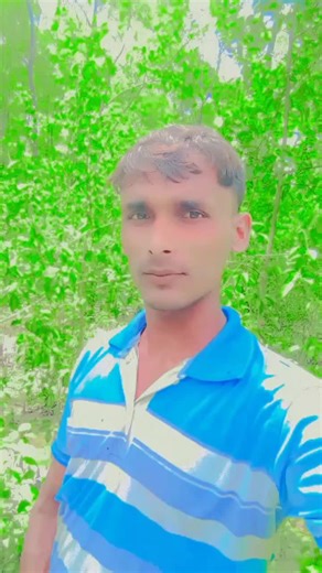 🛡️Numon👑 (@numon248)’s videos with original sound - 🎤Voice off R.S Robin🍁