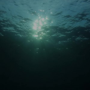 23 reactions | One of my favorite sounds in all the world is the...