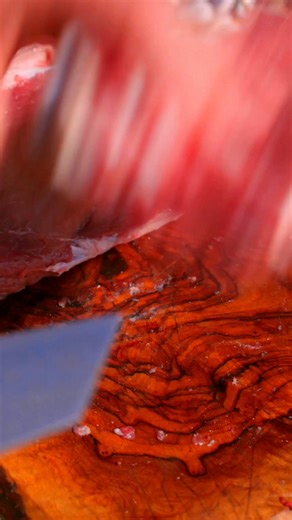 Meaty Delight Cooked over Open Flame – Seasoned with Spices and Tradition #OutdoorCooking #OpenFireCooking #MeatPreparation #Cooking | Cook Loop