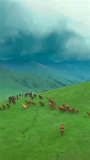Amazing Pakistan 🔜❣️ | Travel Pakistan