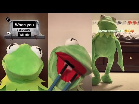 Funny Kermit on TikTok Videos Compilation, Best kermitontiktok 2023