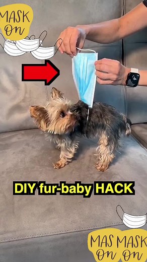 Transforming Face Masks into Dog Diapers