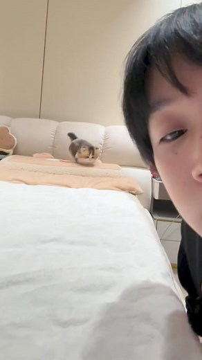 2.8M views · 10K reactions | An affectionate cat that loves its owner  #Menna | NANO Planet | Facebook