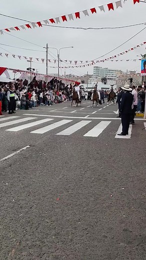 Desfile de Caballos de Paso en Mollendo 2025