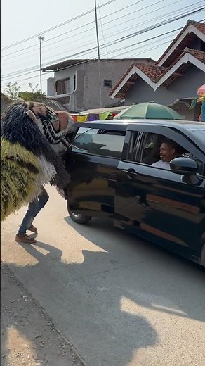 Can macanan kejar bocil ff sampe masuk kedalam mobil❗️