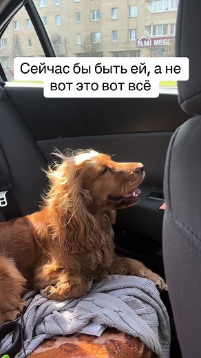 DaisyWorld (@daisyworld35)’s videos with