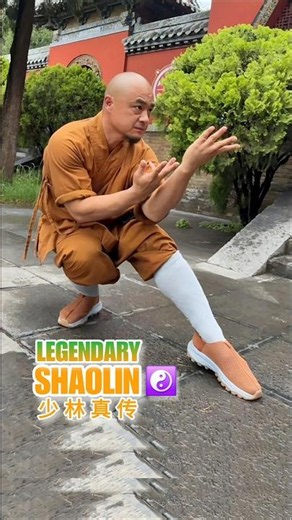 SHAOLIN KUNGFU ☯️ Ancient Moves, Timeless Power (少林功夫)
