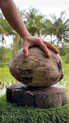 Dry coconut? No problem for this knife.
