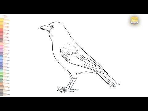 Crow outline drawing 01 II How to draw A Crow drawing step by step II #artjanag