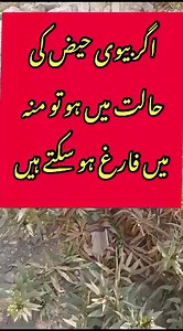 1.4M views · 6.6K reactions | Knowledge #healthyfood #knowledge #quotes #quiz #health | Sattar Khan | Facebook