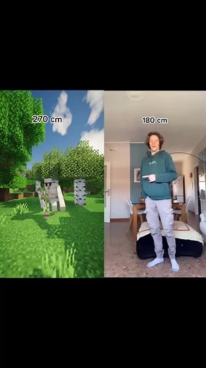 Exploring Minecraft and Real Life Interactions