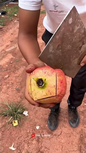 🍎 The Easiest Way to Peel a Pomegranate!