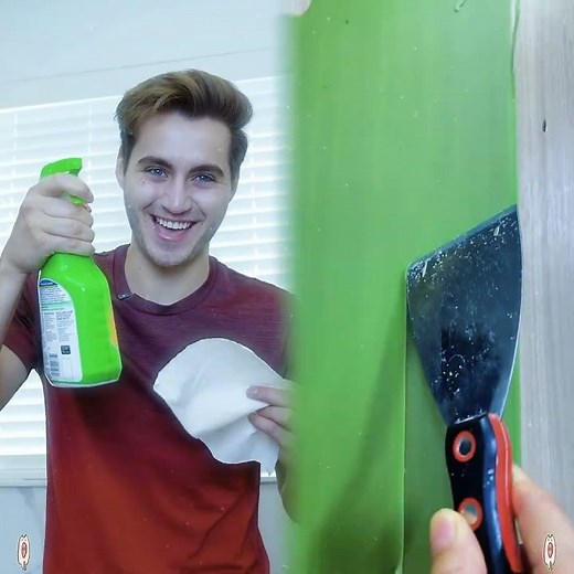 Why The 5 Second Rule Exists… Who’s ever used this to justify eating floor food? Drop a 👇 i