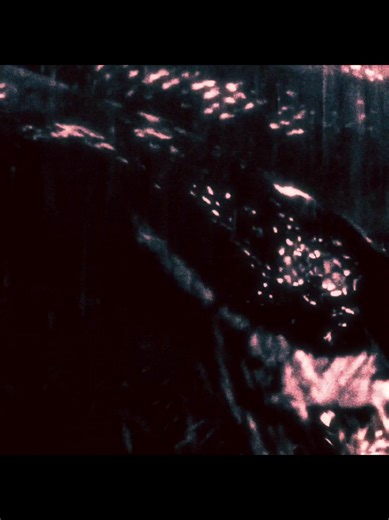 Anaconda: The Final Adventure and its Legacy