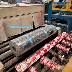 [Hot Item] Good Durability Sbs APP Bitumen Waterproofing Membrane