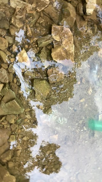 #fishingtiktoks #fypシ Bottle trap for small fishes