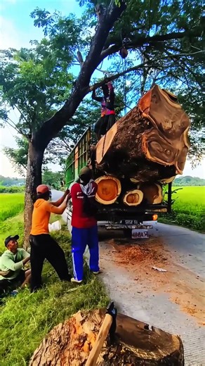 Smart Method Pulley Assisted Log Loading