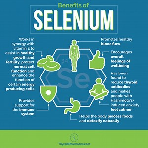 How does the body get rid of selenium? [2025] | QAQooking.wiki