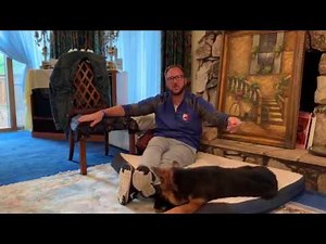 Captain's Mega Esophagus Feeding Tips