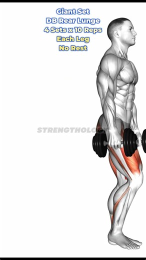 The 15 Minute Total Body Muscle Accelerator