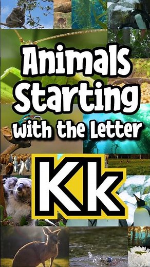 Introduction to Alphabet for Kids | Animals Starting with the Letter K