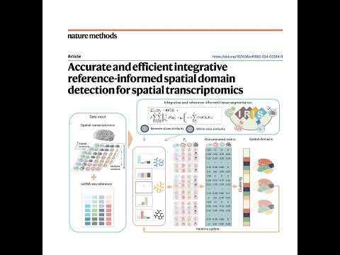385-IRIS：高效精准的空间转录组组织分割法
