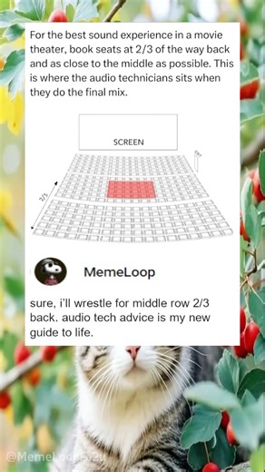 This is MemeLoop. laugh out loud#memes#funnyvideos