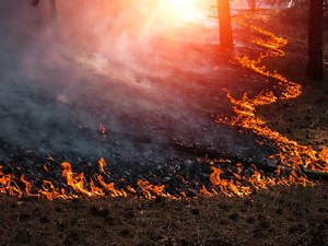 CZU Lightning Complex Fires Fully Contained