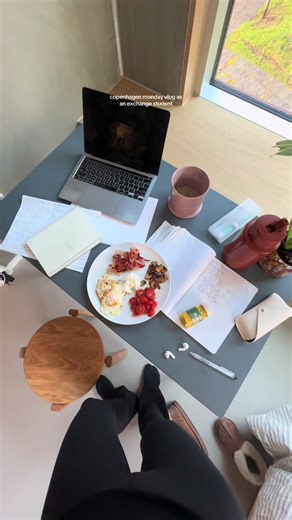 Studying in Copenhagen as an Exchange Student