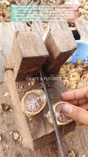 Traditional way to crack betel nuts: Simple wood tool ASMR. #ytshorts