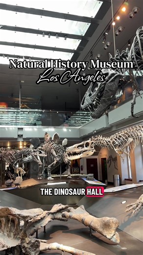 Explore Dinosaur Hall at Natural History Museum LA