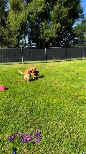 5K views · 65 reactions | ✨ “To Infinity… and the Golden Girls!” ✨...