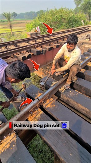 Dog pin set #railway #railwaycontent #railway #railwaycontent #railwayline #train #railvlogger