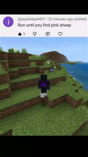 RUN UNTIL YOU FIND PINK SHEEP #minecraft