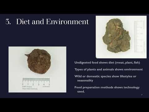 Coprolites Just Got Real - Archaeology Week