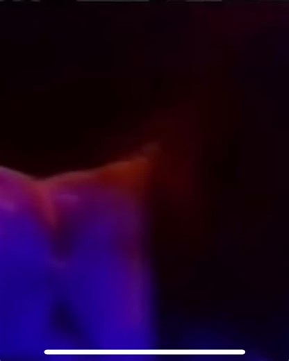 Led Zeppelin Kashmir Live 1979 - Epic Rock Performance