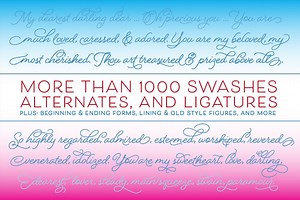 Beloved Script Regular, a Script Font by Laura Worthington