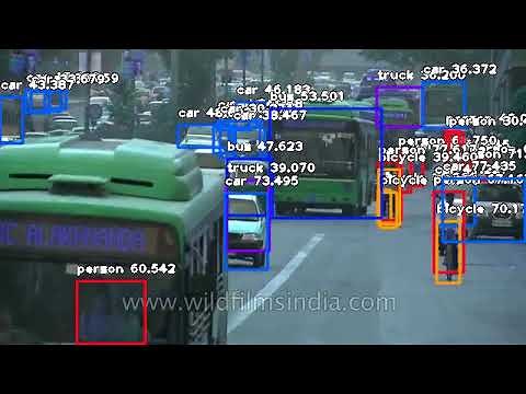 Video Object Detection, Normal Mode and 1-Frame Detection Interval