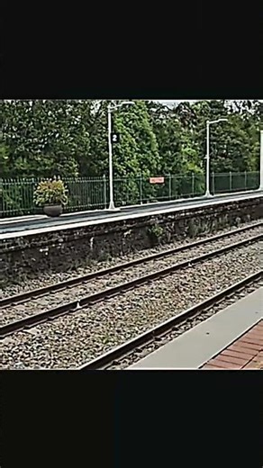 Waiting for Trains in NSW 🚆 | Here’s to a Better 2026 🙏