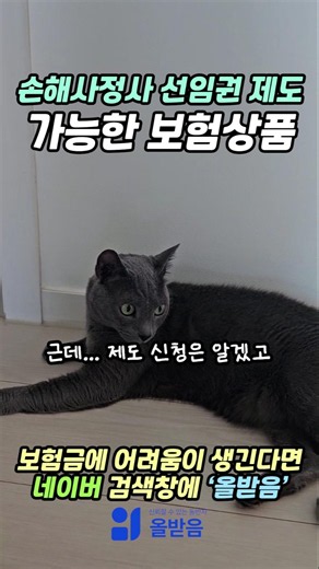Learning About the Free Insurance Adjuster Appointment System with Meonji the Cat (3) #ConsumerAp...
