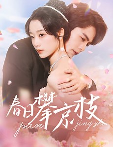 602K views · 6.5K reactions | 劇名：春日攀京枝解鎖全集https://link.inbeidou.cn/link/flickreels/serial/2YeeKTiW/12 江家千金黎枝本與傅硯澤青梅竹馬，然而黎枝成了假千金被趕出家門後，傅硯澤當即選擇與真千金訂婚。就在全網網暴黎枝時，暗戀多年的樓宴京立刻回國陪在她身邊，還趁虛而入提出了閃婚。 #drama #短劇 #甜寵 #CEO #FlickReels | Cdrama劇好看 | Facebook