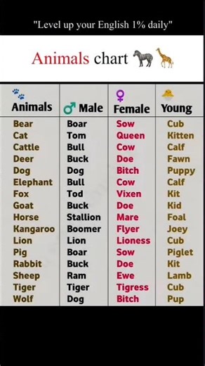 remember the name's of animals chart