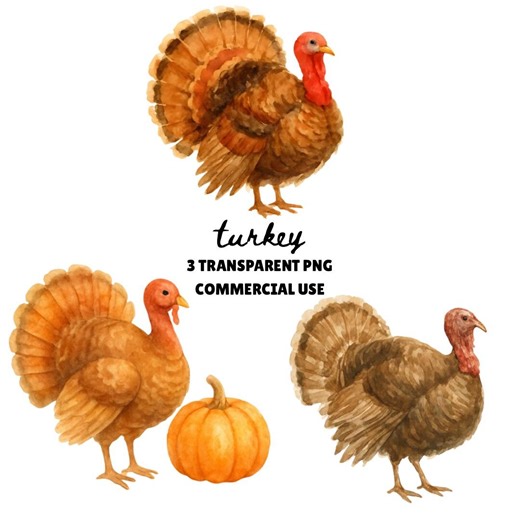 Turkey Clipart, Watercolor Turkey, November Clipart, Thanksgiving Clipart, Watercolor Pumpkin - Etsy
