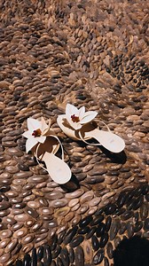 198K views · 10K reactions | Three years and I’m just getting started  Set by @fenoel Earrings by @amiraavainqueur Shoes from @zara Bangle by @omathelabel Bag is vintage Chanel Perfume by @skylar #rhodesgreece #ootd #outfitoftheday #resortwear #vacationoutfits | TenickaB | Facebook