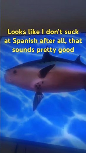 SpongeBob intro fandub Latin American Spanish M&M Studios