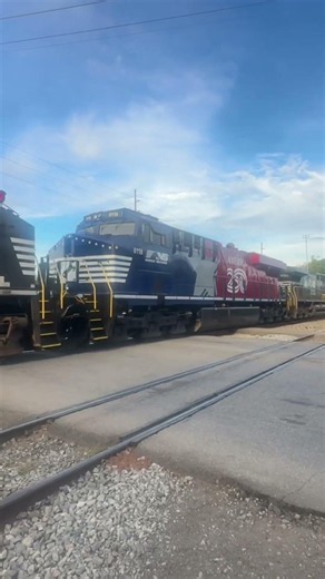 NS 8118 ( Stars And Stripes) trails second on NS 130