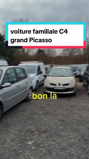 Citroën C4 Grand Picasso - Voiture Familiale Spacieuse en Boîte Automatique
