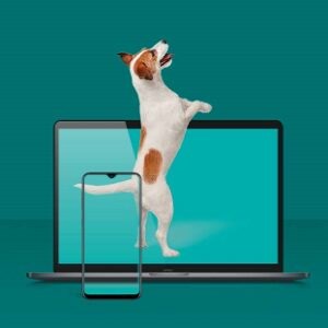 Fido: Home Internet from $40 (Save $15 or $40/Month for 12 Months) - RedFlagDeals.com